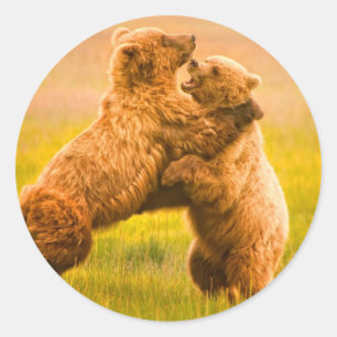 Grizzly Beren worstelen Ronde Sticker