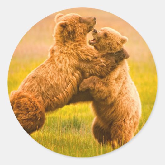 Grizzly Beren worstelen Ronde Sticker (Voorkant)