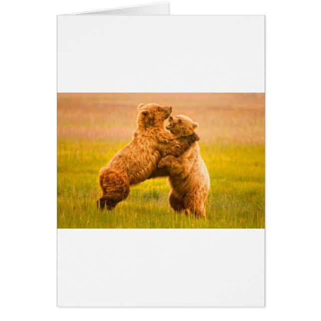Grizzly Beren Wrestling (Voorkant)