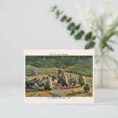 Grizzly beren, Yellow Stone National Park Cadeaus Briefkaart (Staand voorkant)