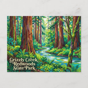 Grizzly Creek Redwoods State Park Californië Briefkaart