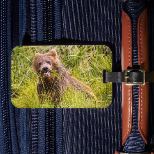 Grizzly cub grazing, Alaska Bagagelabel (Voorkant Insitu 4)