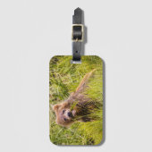 Grizzly cub grazing, Alaska Bagagelabel (Voorkant (verticaal))