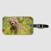 Grizzly cub grazing, Alaska Bagagelabel (Voorkant (horizontaal))