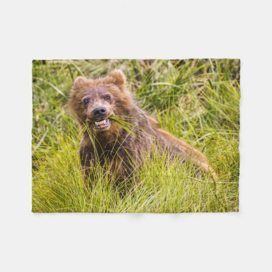 Grizzly cub grazing, Alaska Fleece Deken (Voorkant (Horizontaal))