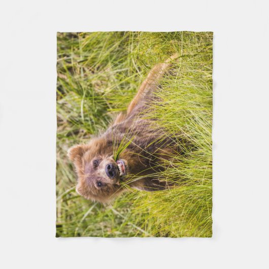 Grizzly cub grazing, Alaska Fleece Deken (Voorkant)