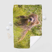 Grizzly cub grazing, Alaska Golfhanddoek (Insitu)