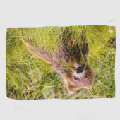 Grizzly cub grazing, Alaska Golfhanddoek (Horizontaal)