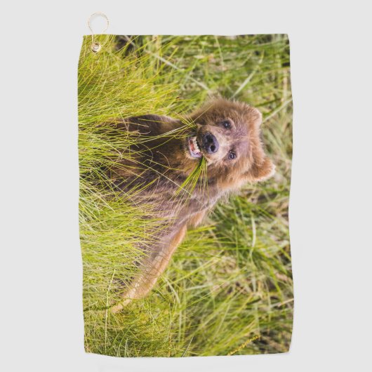 Grizzly cub grazing, Alaska Golfhanddoek (Voorkant)