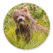 Grizzly cub grazing, Alaska Keramische Knop (Voorkant)