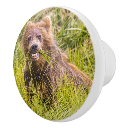 Grizzly cub grazing, Alaska Keramische Knop (Rechts)
