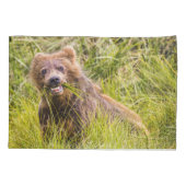 Grizzly cub grazing, Alaska Kussensloop (Achterkant)