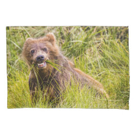 Grizzly cub grazing, Alaska Kussensloop