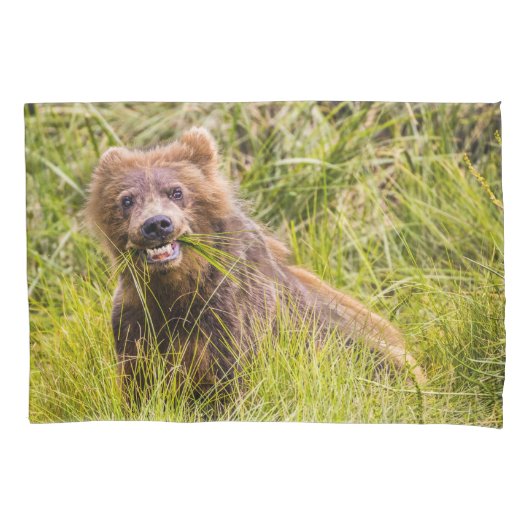 Grizzly cub grazing, Alaska Kussensloop (Voorkant)