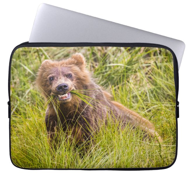 Grizzly cub grazing, Alaska Laptop Sleeve (Voorkant)