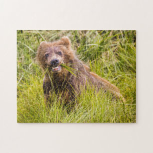 Grizzly cub grazing, Alaska Legpuzzel