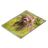 Grizzly cub grazing, Alaska Notitieboek (Linkerzijde)