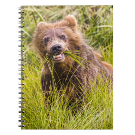 Grizzly cub grazing, Alaska Notitieboek