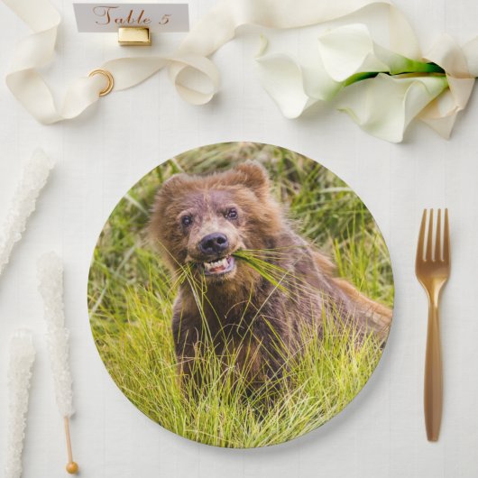 Grizzly cub grazing, Alaska Papieren Bordje (Huwelijk)