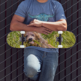 Grizzly cub grazing, Alaska Persoonlijk Skateboard