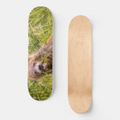 Grizzly cub grazing, Alaska Persoonlijk Skateboard (Voorkant)