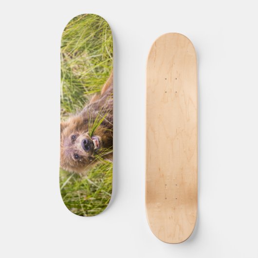 Grizzly cub grazing, Alaska Persoonlijk Skateboard (Voorkant)