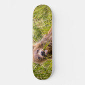 Grizzly cub grazing, Alaska Persoonlijk Skateboard (Voorkant)