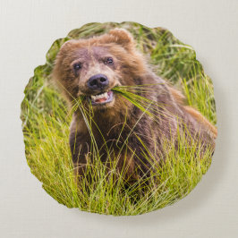Grizzly cub grazing, Alaska Rond Kussen