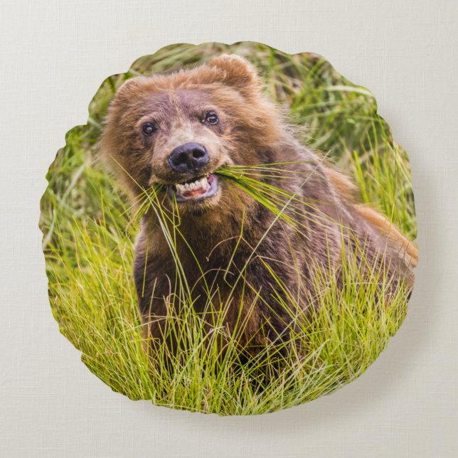 Grizzly cub grazing, Alaska Rond Kussen (Voorkant)