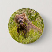 Grizzly cub grazing, Alaska Ronde Button 5,7 Cm (Voorkant)