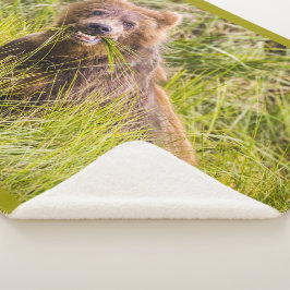 Grizzly cub grazing, Alaska Sherpa Deken