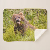Grizzly cub grazing, Alaska Sherpa Deken (Voorkant (horizontaal))