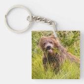 Grizzly cub grazing, Alaska Sleutelhanger (Voorkant)