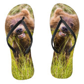 Grizzly cub grazing, Alaska Teenslippers (Voetbed)