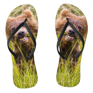 Grizzly cub grazing, Alaska Teenslippers