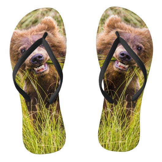 Grizzly cub grazing, Alaska Teenslippers (Voetbed)