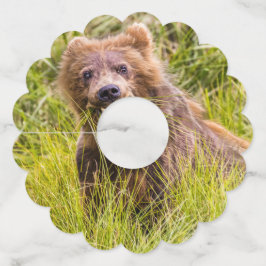 Grizzly cub grazing, Alaska Wijnglaslabel