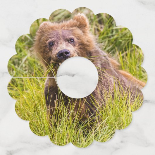 Grizzly cub grazing, Alaska Wijnglaslabel (Achterkant)