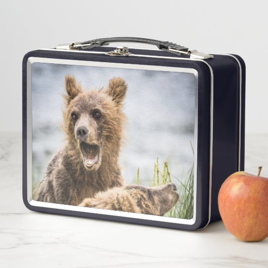 Grizzly Cubs die op zoek zijn naar hun moeder (In situ)