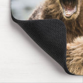 Grizzly Cubs die op zoek zijn naar hun moeder Muismat (Hoek)