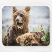 Grizzly Cubs die op zoek zijn naar hun moeder Muismat (Voorkant)