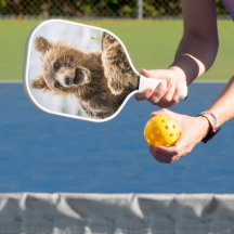 Grizzly Cubs die op zoek zijn naar hun moeder
