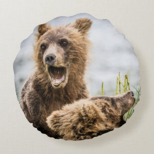 Grizzly Cubs die op zoek zijn naar hun moeder Rond Kussen