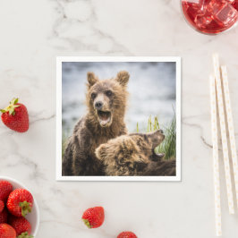 Grizzly Cubs die op zoek zijn naar hun moeder Servet