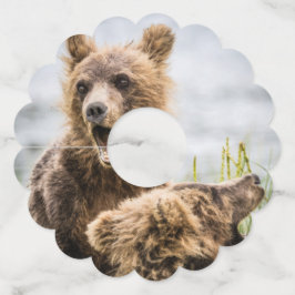 Grizzly Cubs die op zoek zijn naar hun moeder Wijnglaslabel