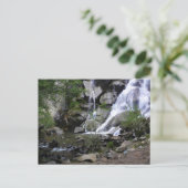 Grizzly Herfsten, King's Canyon National Park, CA Briefkaart (Staand voorkant)