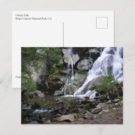 Grizzly Herfsten, King's Canyon National Park, CA Briefkaart (Voorkant / Achterkant)