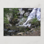 Grizzly Herfsten, King's Canyon National Park, CA Briefkaart (Voorkant)