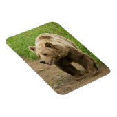 grizzly magneet (Rechterzijde)