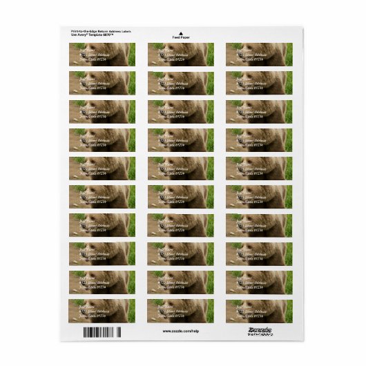 Grizzly Mailing Labels (Full Sheet)